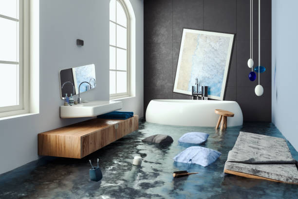Best Water damage restoration specialists  in Plattsmouth, NE