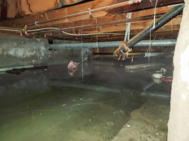 Best 24-hour water damage restoration  in Plattsmouth, NE