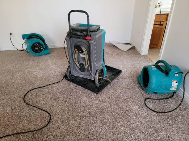 Best Water damage restoration process  in Plattsmouth, NE