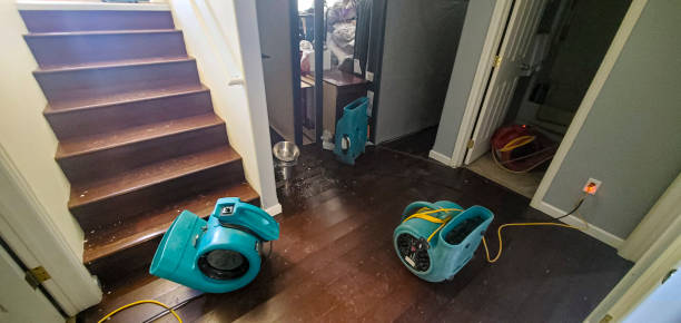 Trusted NE Water damage restoration Experts
