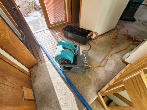 Best Water damage contractors near me  in Plattsmouth, NE
