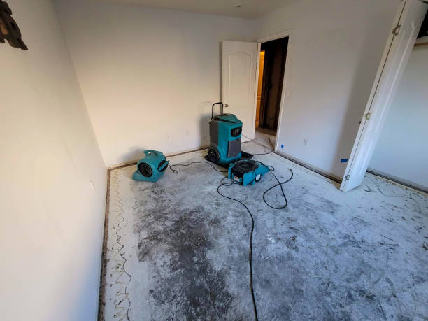 Best Water damage restoration near me  in Plattsmouth, NE
