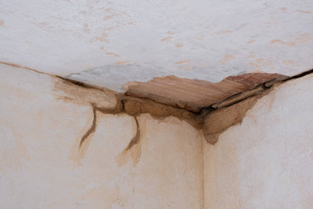 Best Sewage cleanup and water damage restoration  in Plattsmouth, NE