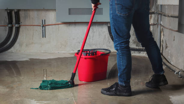 Best 24/7 water damage repair  in Plattsmouth, NE