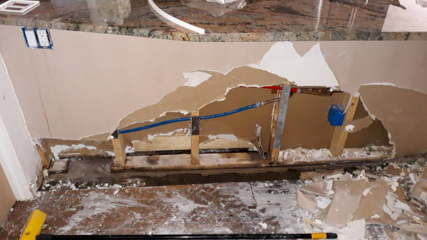 Best Water damage mitigation services  in Plattsmouth, NE