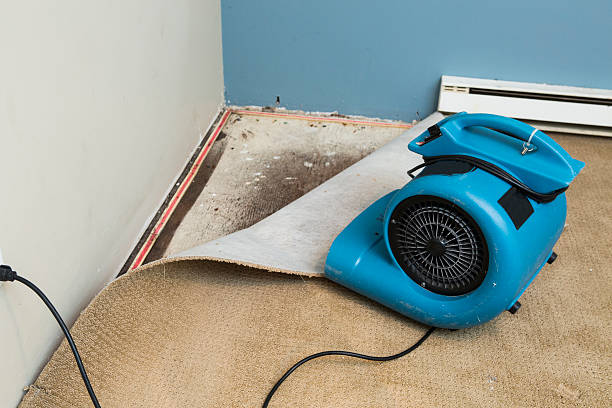 Best Fire Damage Restoration  in Plattsmouth, NE
